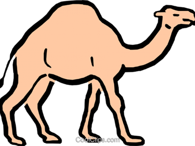 Camels Clipart Camel Cart - Png Download (640x480), Png Download
