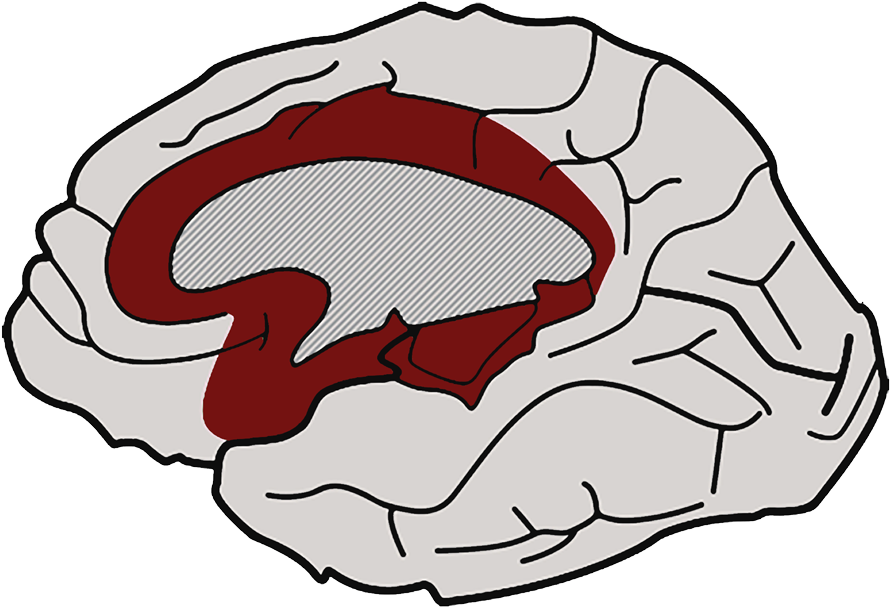 Affective Networks The "why" Of Learning Clipart (900x659), Png Download