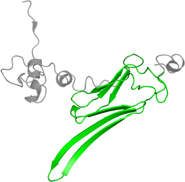 <div Class='caption-body'>1 Copy Of Pfam Domain < Clipart (800x800), Png Download