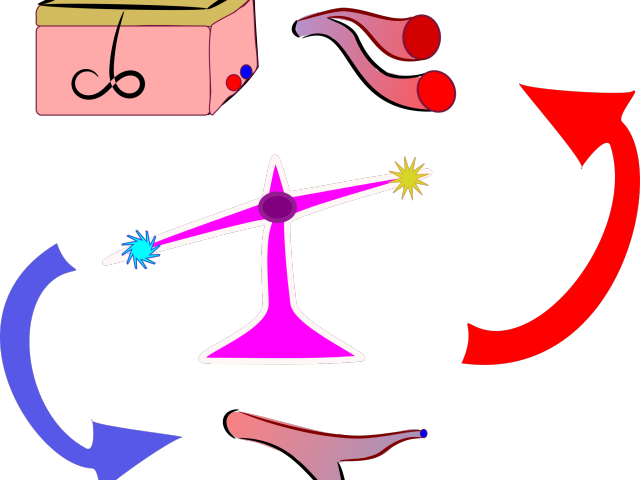 Cold Clipart Homeostasis - Png Download (640x480), Png Download