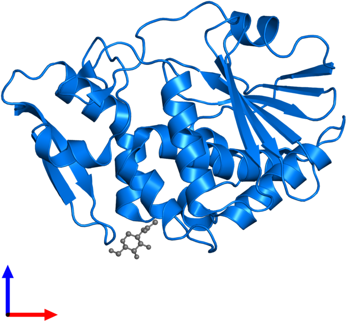 <div Class='caption-body'>pdb Entry 3ktz Contains 1 Clipart (800x800), Png Download