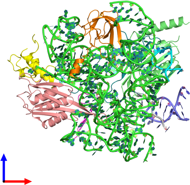 Pdb 5u4j Coloured By Chain And Viewed From The Front Clipart (800x800), Png Download