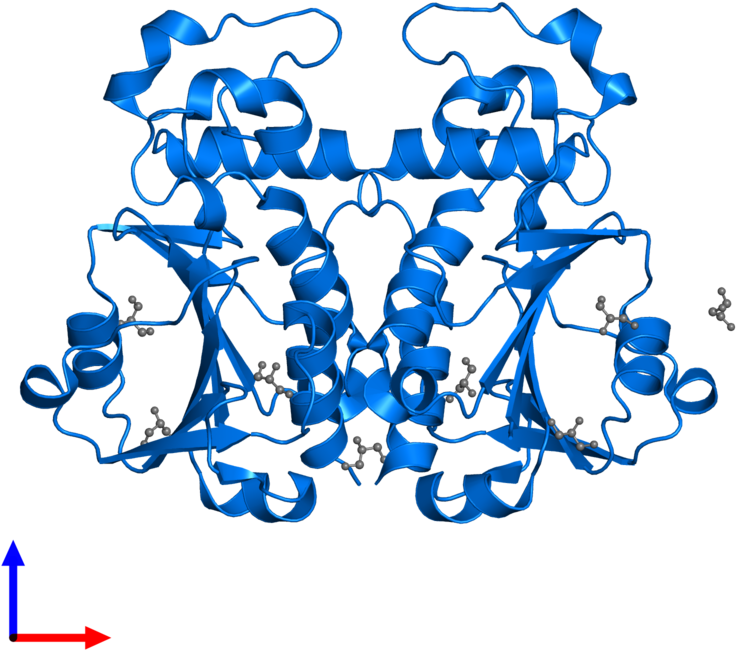 <div Class='caption-body'>pdb Entry 3bbe Contains 2 Clipart (800x800), Png Download