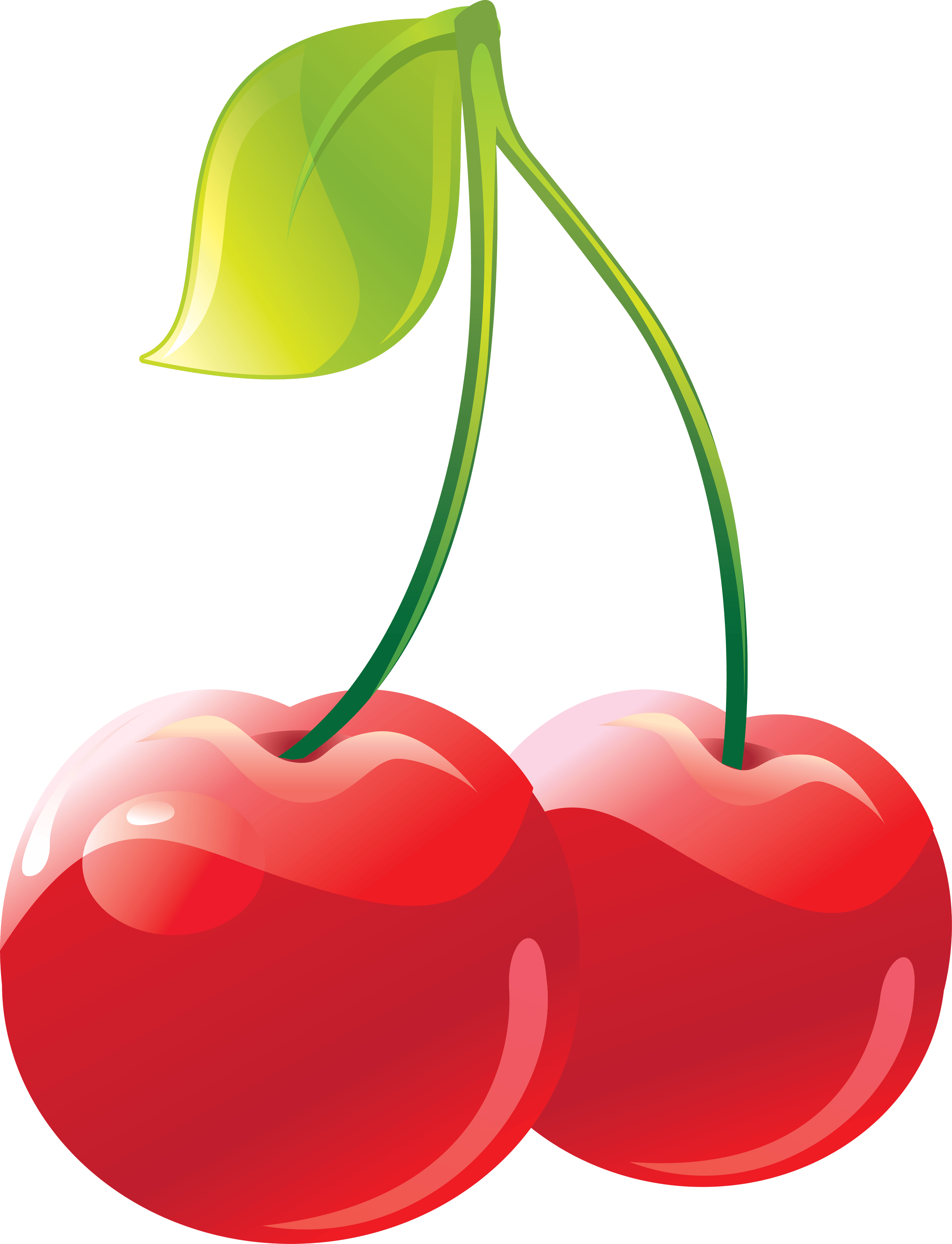 Cherry Clipart Png Transparent Png (2699x3527), Png Download