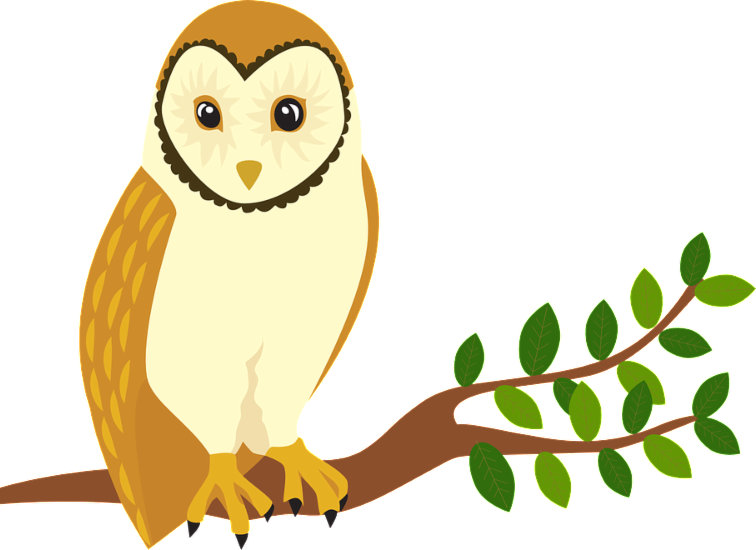 Our Whole Lives Is A Comprehensive Sexuality Education Clipart (756x550), Png Download