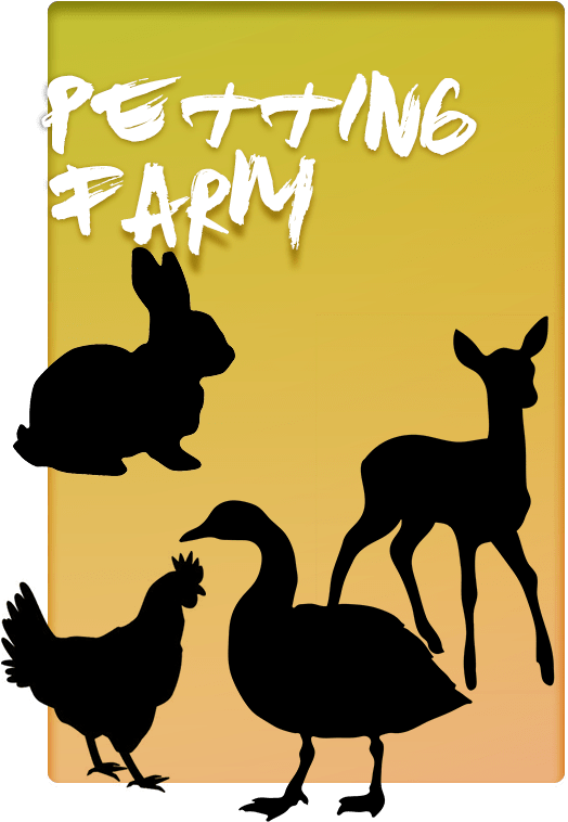 Petting-farm Clipart (640x800), Png Download