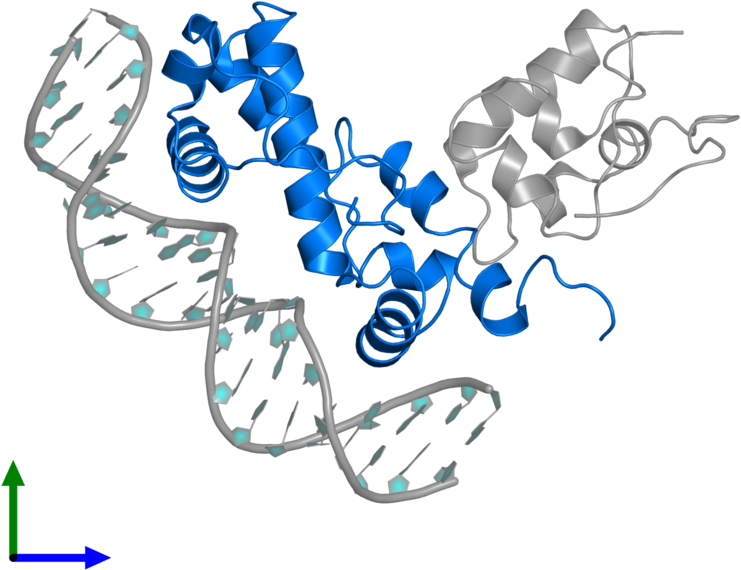 <div Class='caption-body'>pdb Entry 1xs9 Contains 1 Clipart (800x800), Png Download
