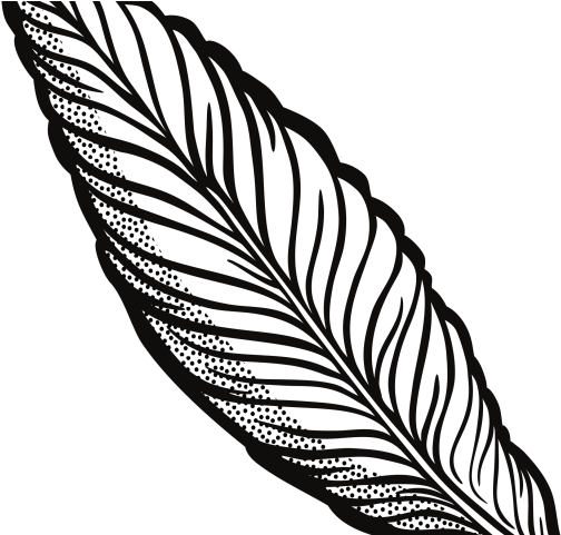 Feather Clipart Pencil - Png Download (640x480), Png Download
