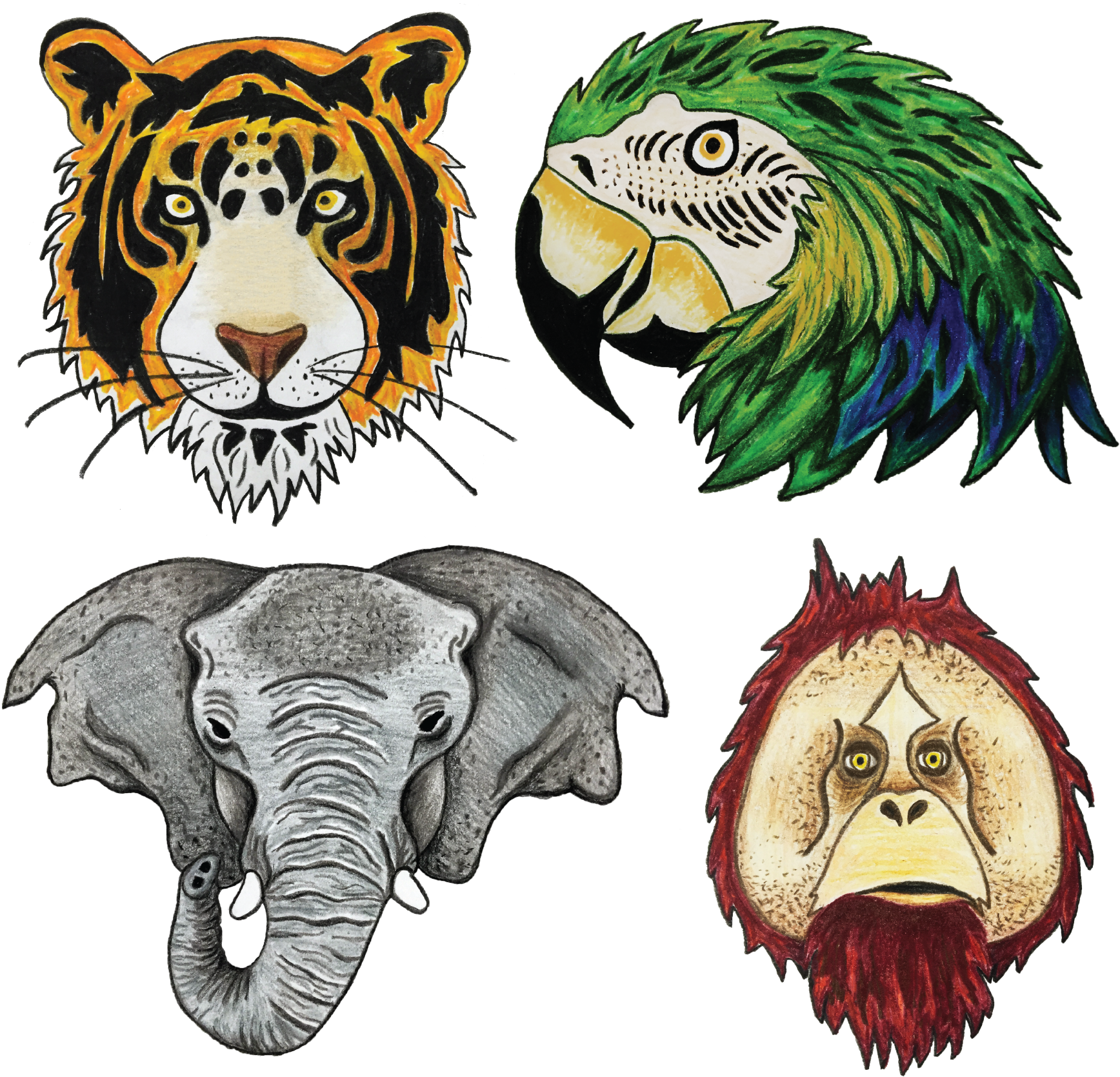 The Animals Were Drawn Out With Colored Pencil, And Clipart (1758x1694), Png Download
