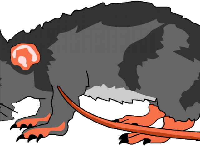 Rat Clipart Transparent Png (640x480), Png Download