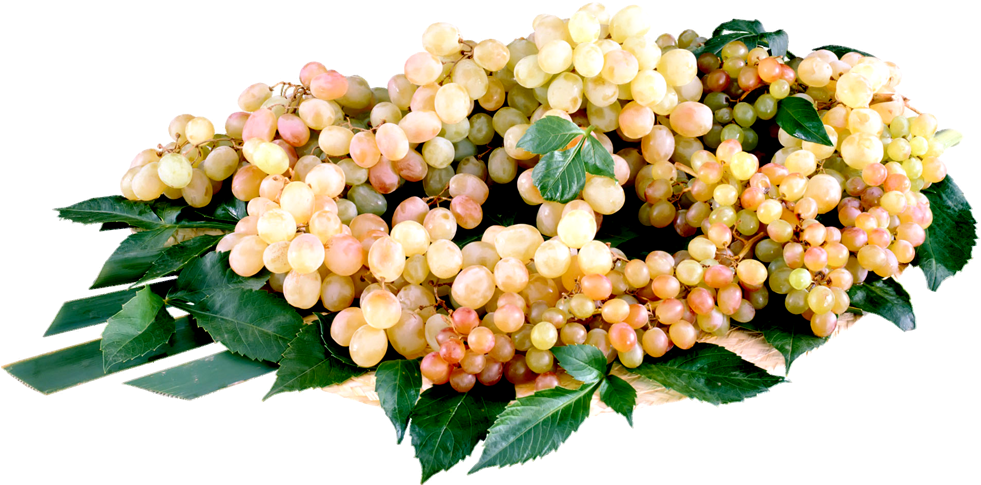 Purple Cartoon Grapes Clipart (1000x1000), Png Download