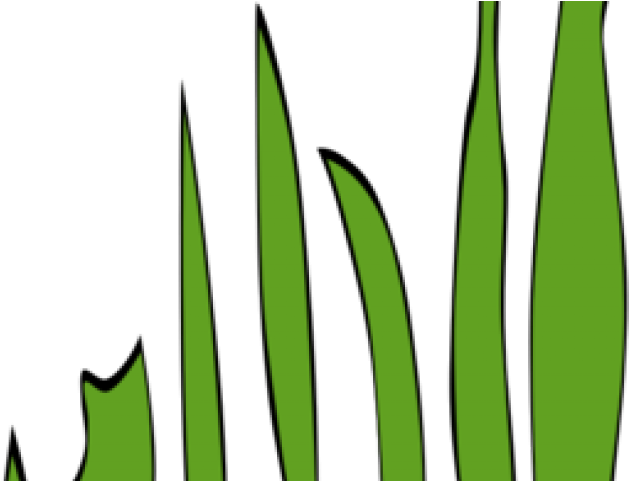 Lawn Clipart Grass Line - Png Download (640x480), Png Download