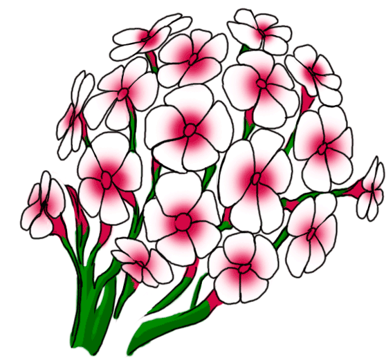 Easy Drawings Step By Flowers Clipart (600x600), Png Download