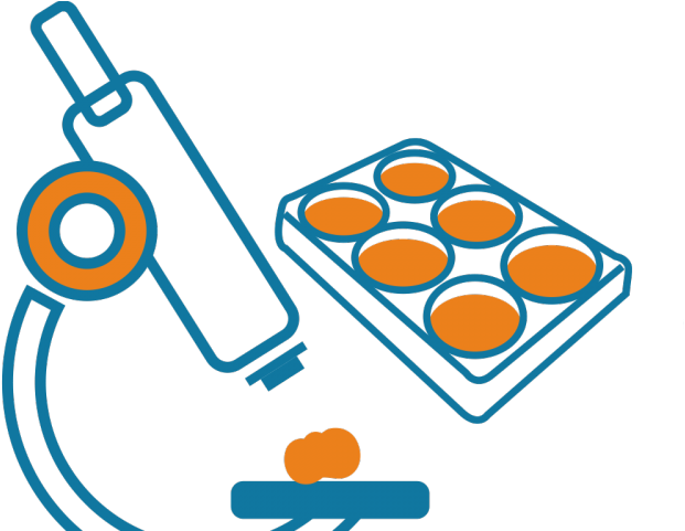 Mechanical Clipart Biomedical Engineer - Png Download (640x480), Png Download