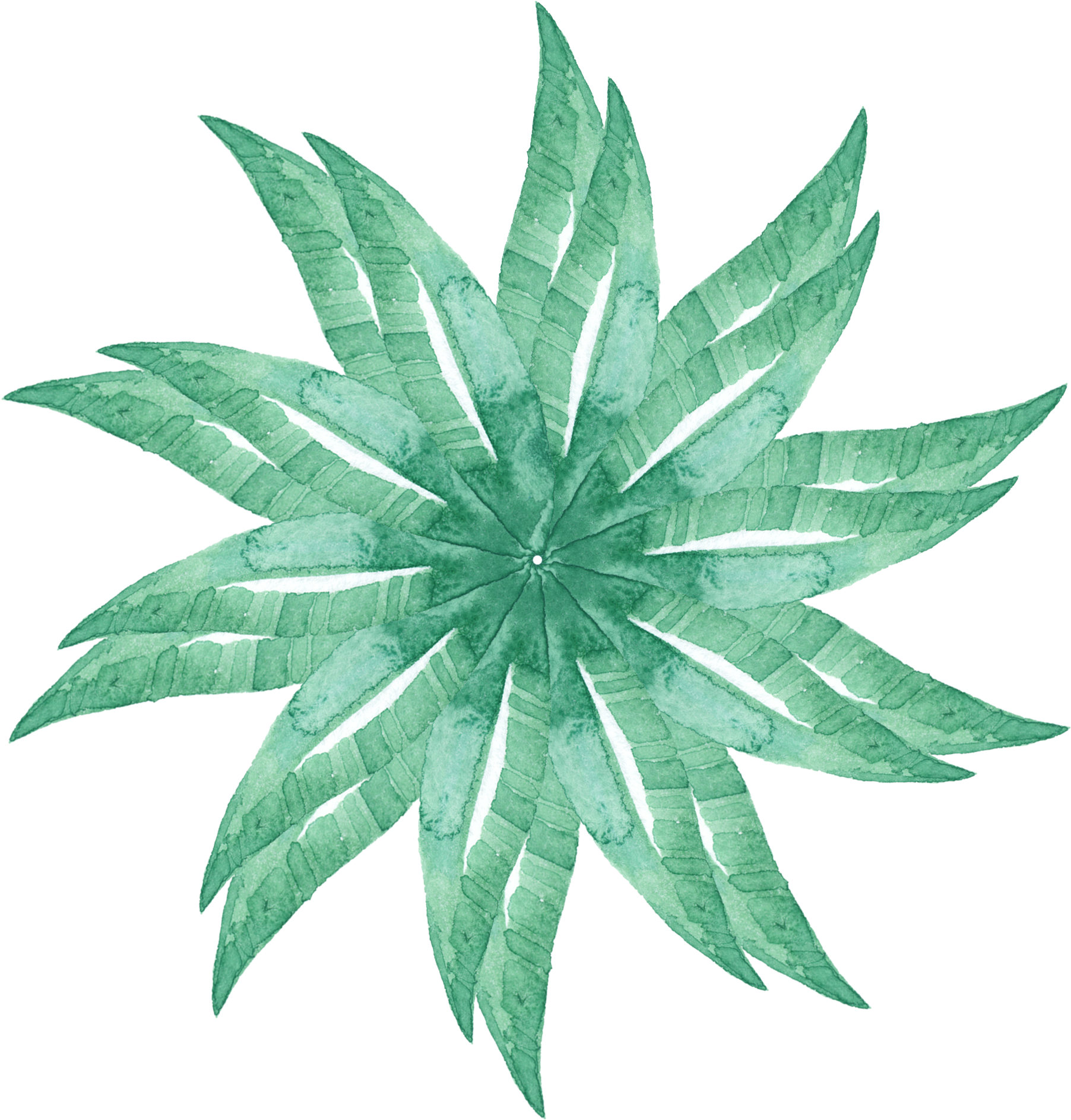 Simple Stylish Creative Watercolor Png And Psd Clipart (2000x2000), Png Download