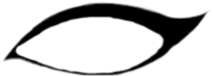 Eyeliner Clipart - Png Download (1024x1024), Png Download