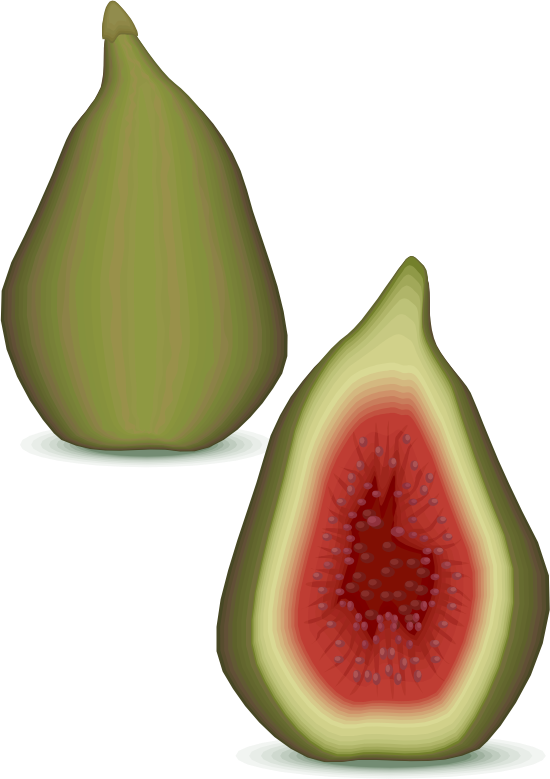 Medium Image Clipart (550x779), Png Download
