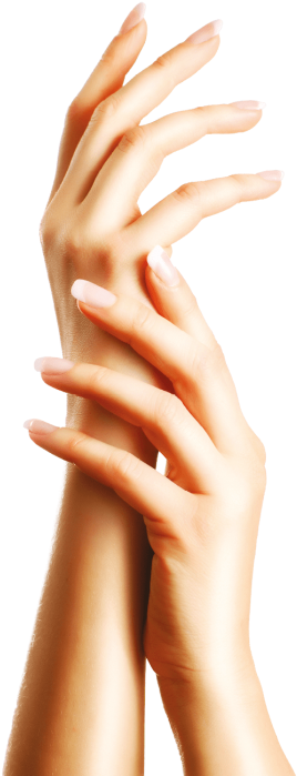 Download Nails Png Images Background Clipart (480x718), Png Download
