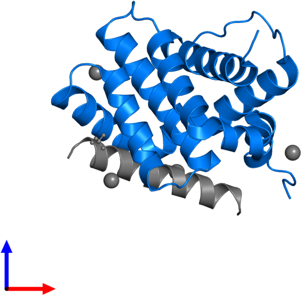 <div Class='caption-body'>pdb Entry 5uum Contains 1 Clipart (800x800), Png Download