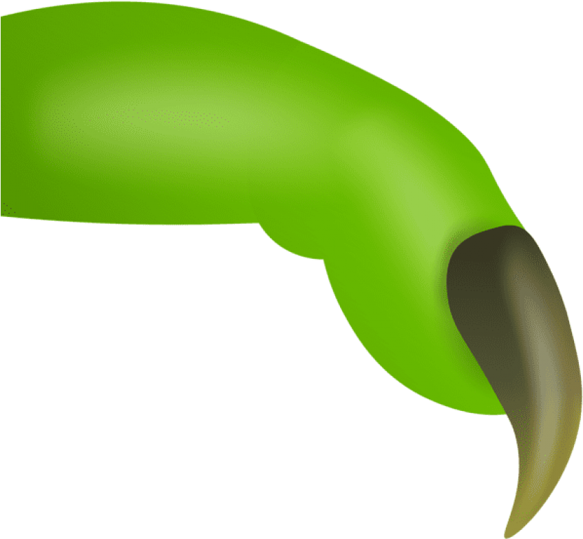 Free Png Download Witch Finger Green Png Images Background Clipart (850x791), Png Download