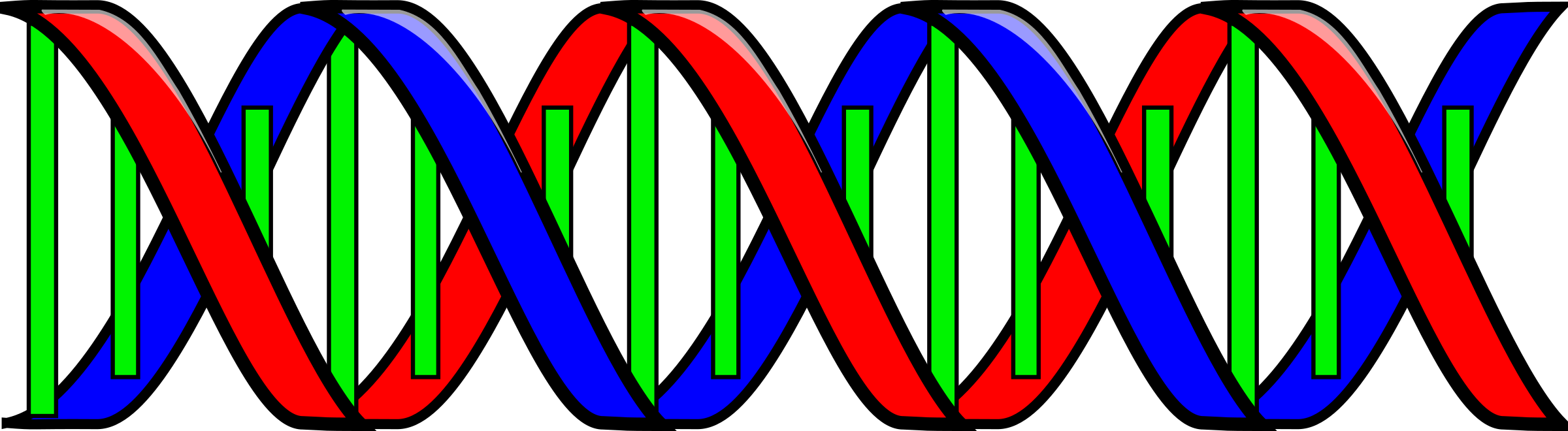 Clipart Of Double, Dna And Describe - Png Download (2400x660), Png Download