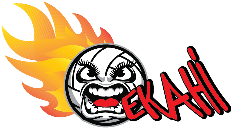 Official Apparel Store Clipart (813x453), Png Download