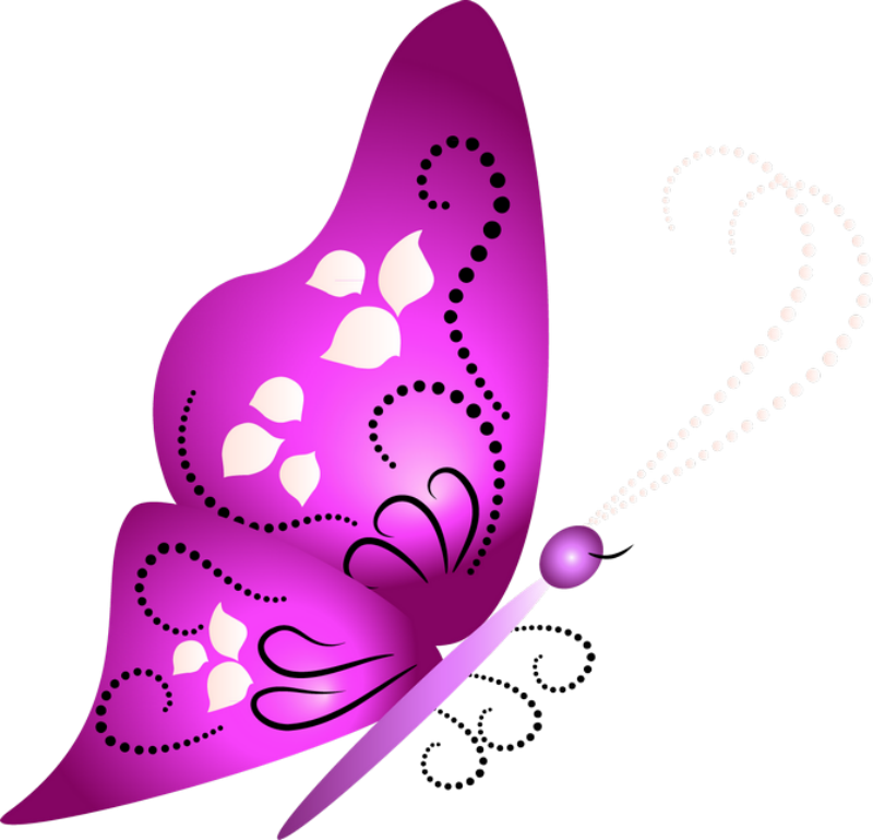 800 X 769 5 Clipart (800x769), Png Download