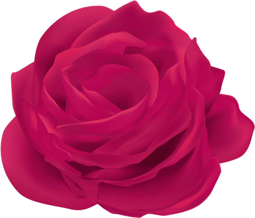 Free Png Pink Rose Flower Png Images Transparent Clipart (850x730), Png Download