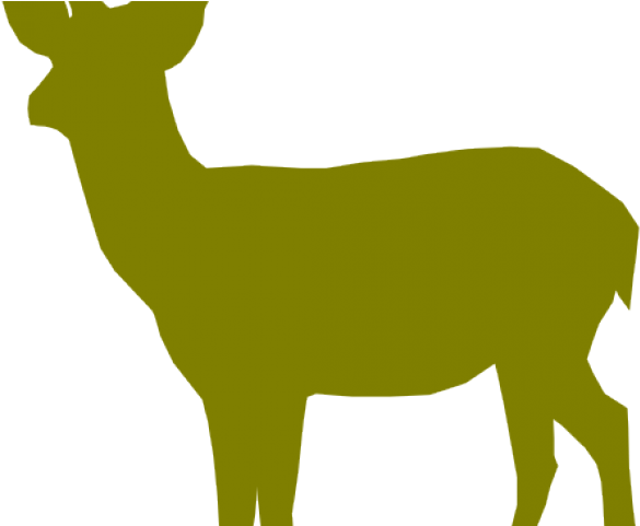 Dear Clipart Deer Drinking Water - Png Download (640x480), Png Download