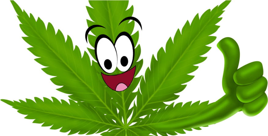 How Cannabis Could Turn The Opioid Epidemic Around Clipart (900x444), Png Download