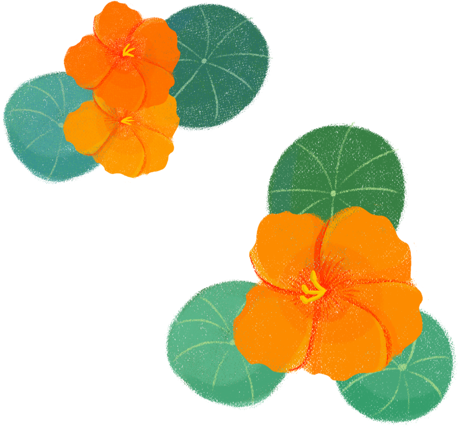 Prev Next Clipart Full Size Clipart 3148698 PinClipart