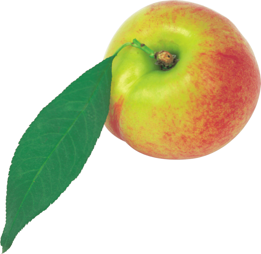 Free Png Peach Png Images Transparent Clipart (850x829), Png Download