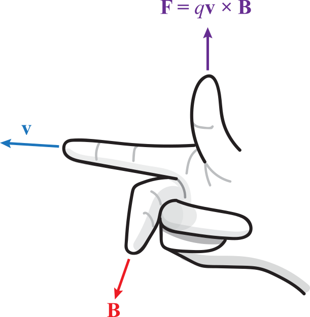 Common Mistakes Clipart (611x625), Png Download