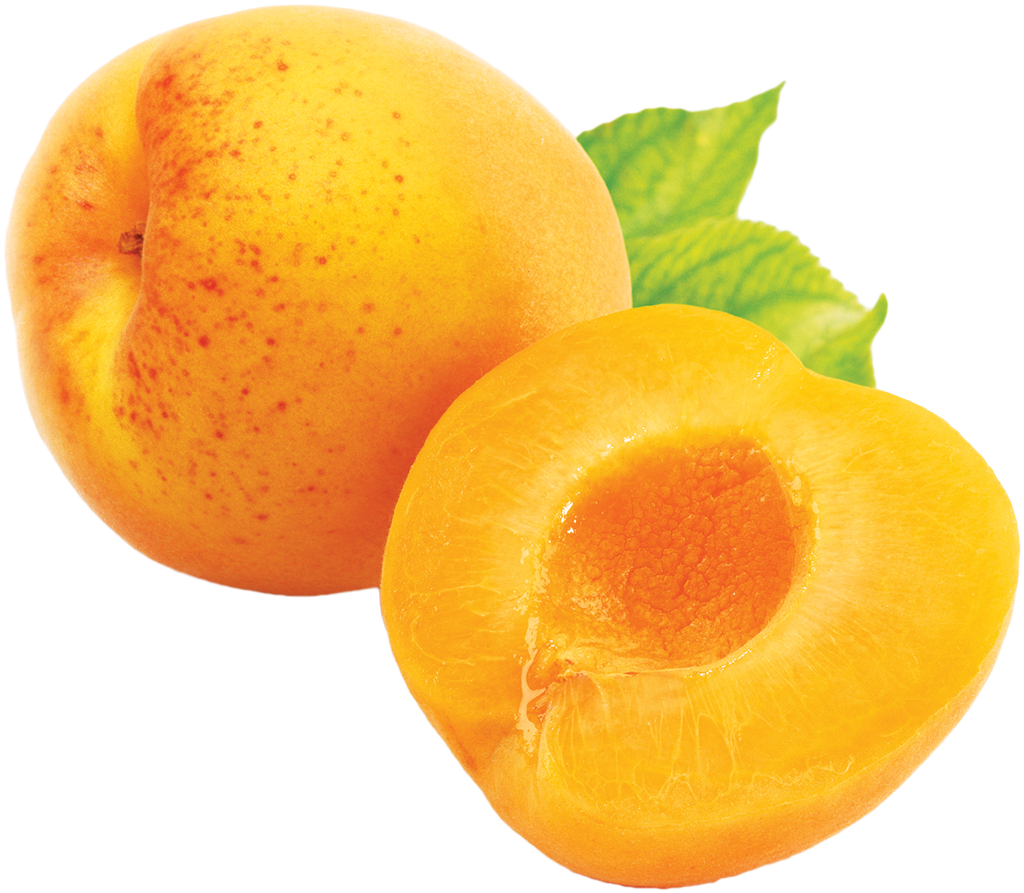 Apricot Png Clipart (1024x1024), Png Download
