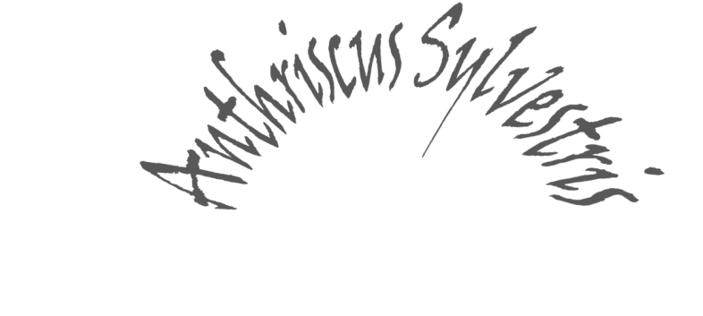 Hooked On Hedge Parsley Clipart (911x432), Png Download