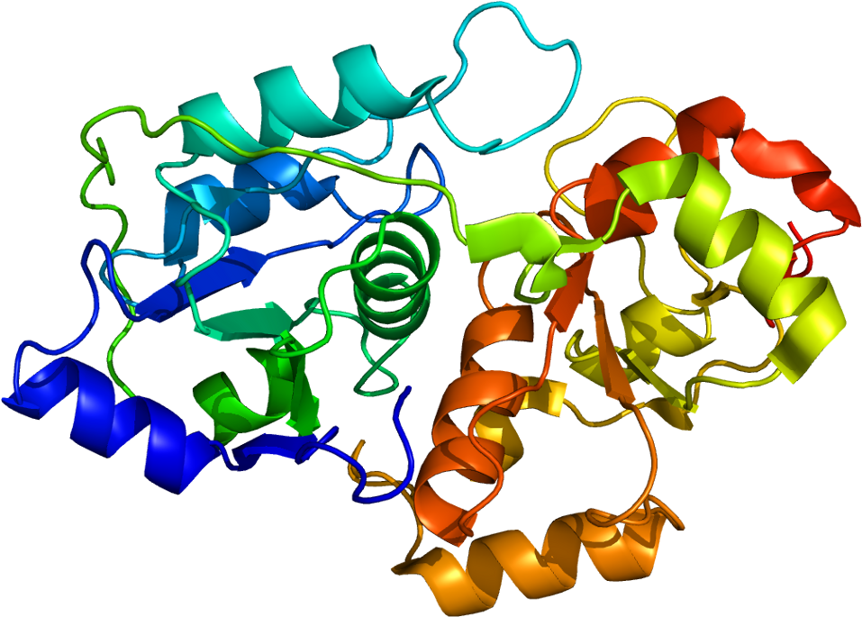 Tst Clipart (1006x734), Png Download