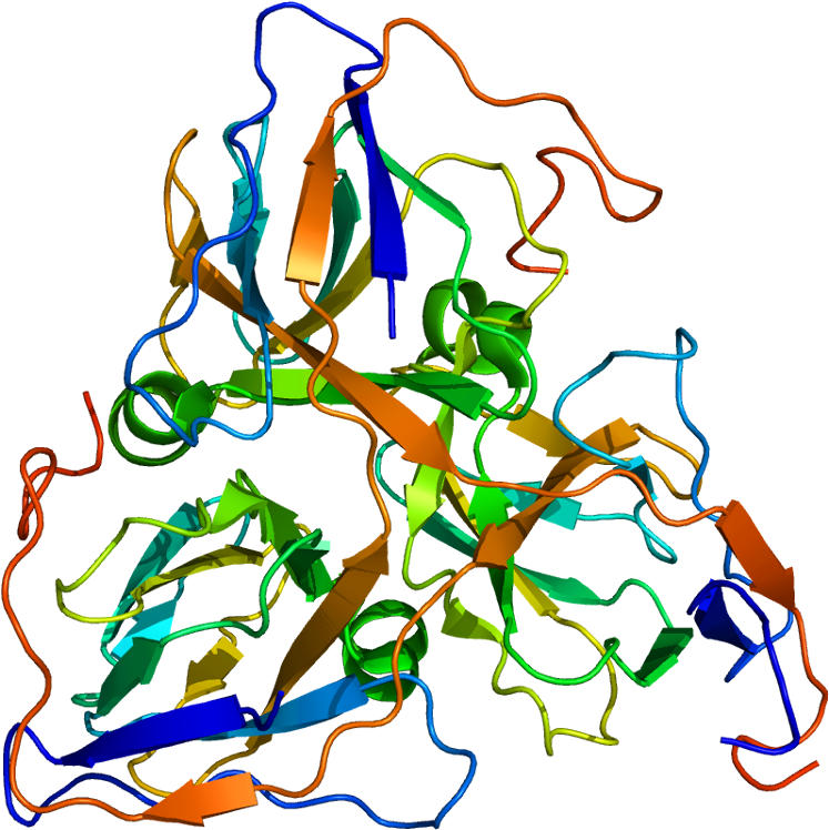 Dut Clipart (796x797), Png Download