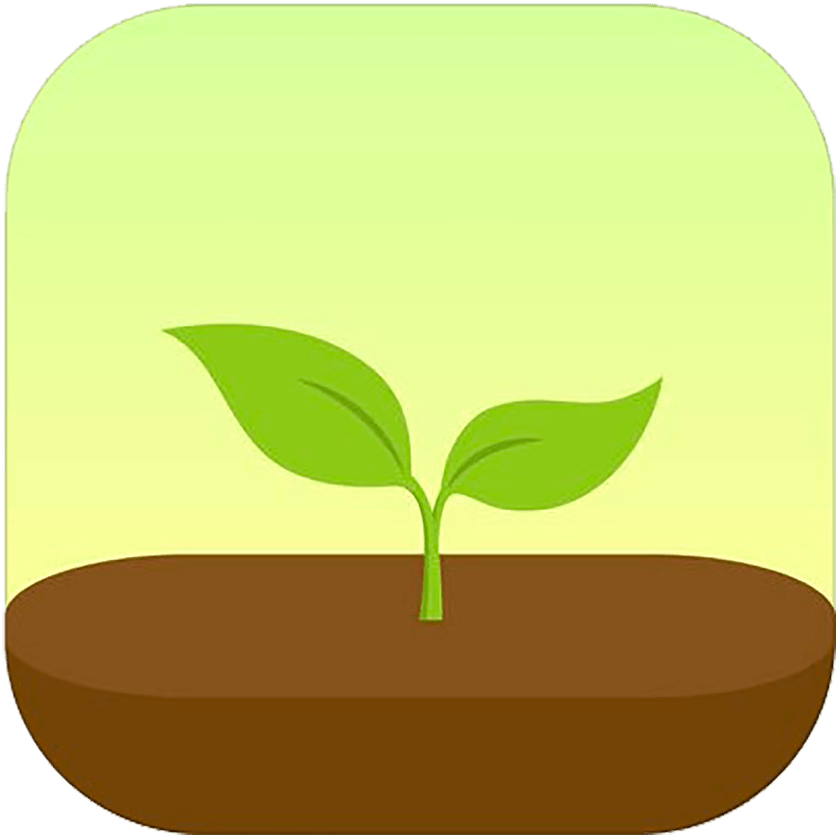 Forest Clipart (881x885), Png Download