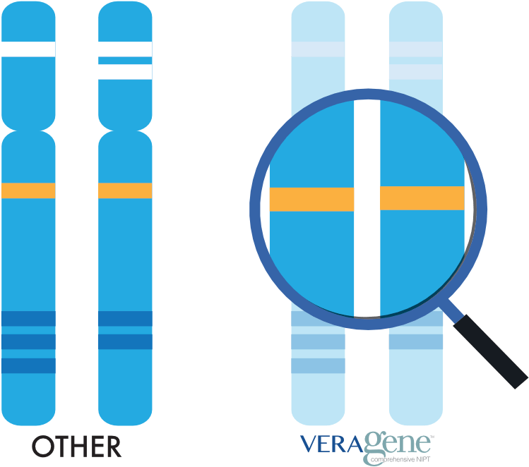Targeted Genomic Analysis Clipart (900x700), Png Download