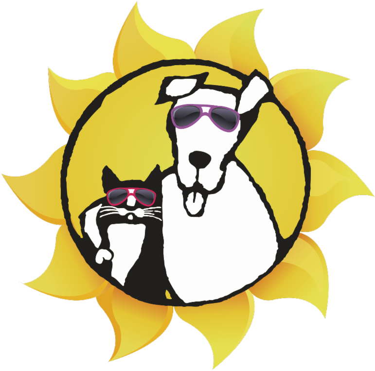 Ithaca/june 18 In Celebration Of The 10 Year Anniversary Clipart (800x800), Png Download