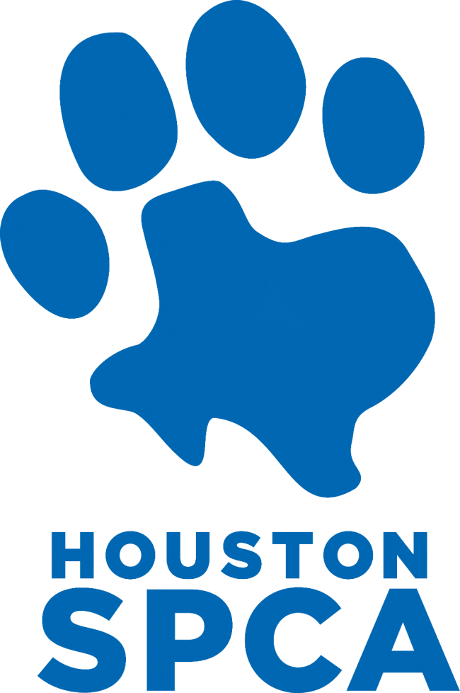 Houston Spca Winter Critter Camp Clipart (650x978), Png Download