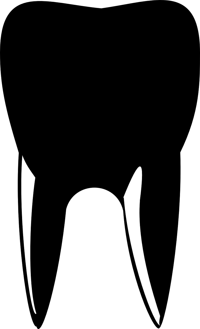 Tooth Dentist Silhouette Clipart (779x1280), Png Download