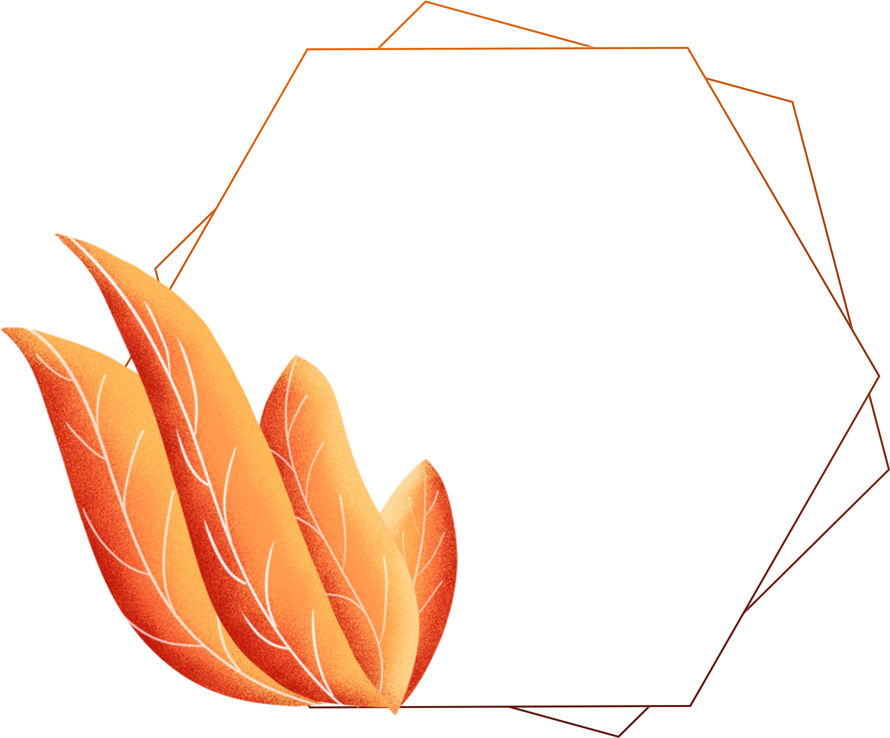 Hand Painted Border Plants Leaves Coral Orange Png Clipart (2000x2000), Png Download