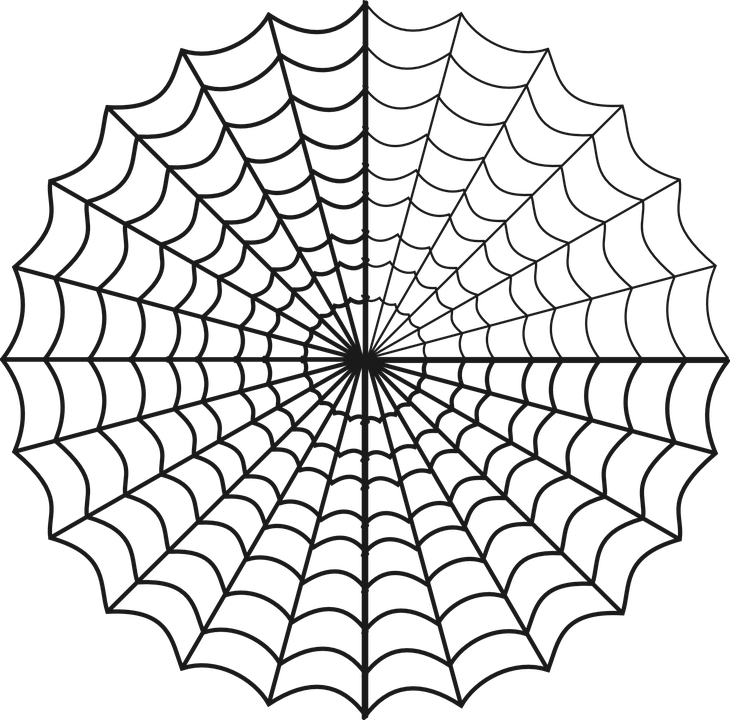 Drawn Spider Web Circle Clipart (730x720), Png Download