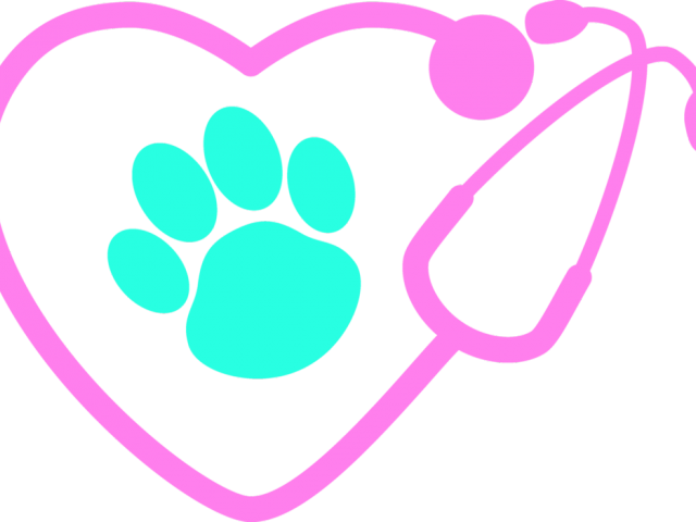 Paw Clipart Stethoscope - Png Download (640x480), Png Download