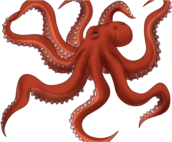Drawn Octopus Cool Clipart (640x480), Png Download