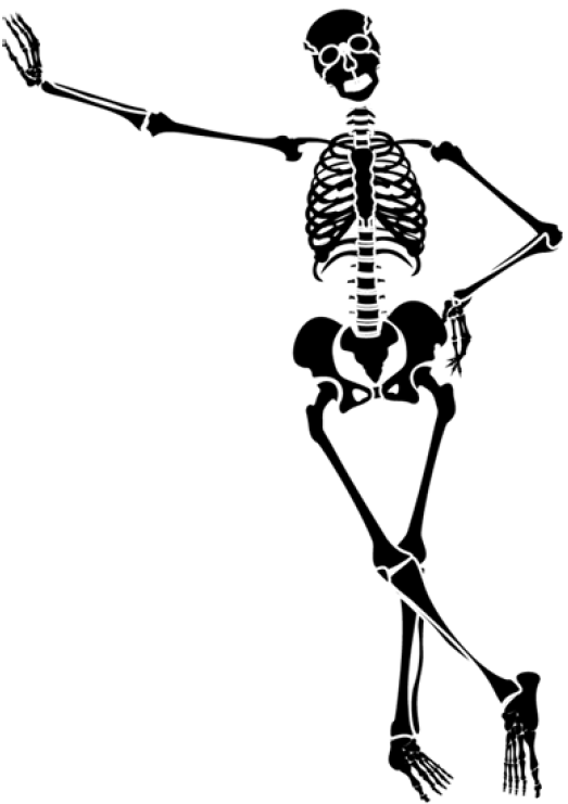 Free Skeleton Clip Art Pictures Skeleton Clipart - Png Download (640x808), Png Download