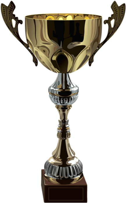 Free Png Download Cup Trophy Clipart Png Photo Png Transparent Png (480x730), Png Download
