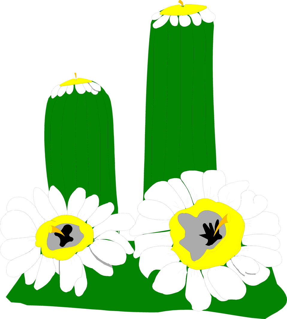 Cactus Clip Art With Transparent Background - Png Download (958x1066), Png Download