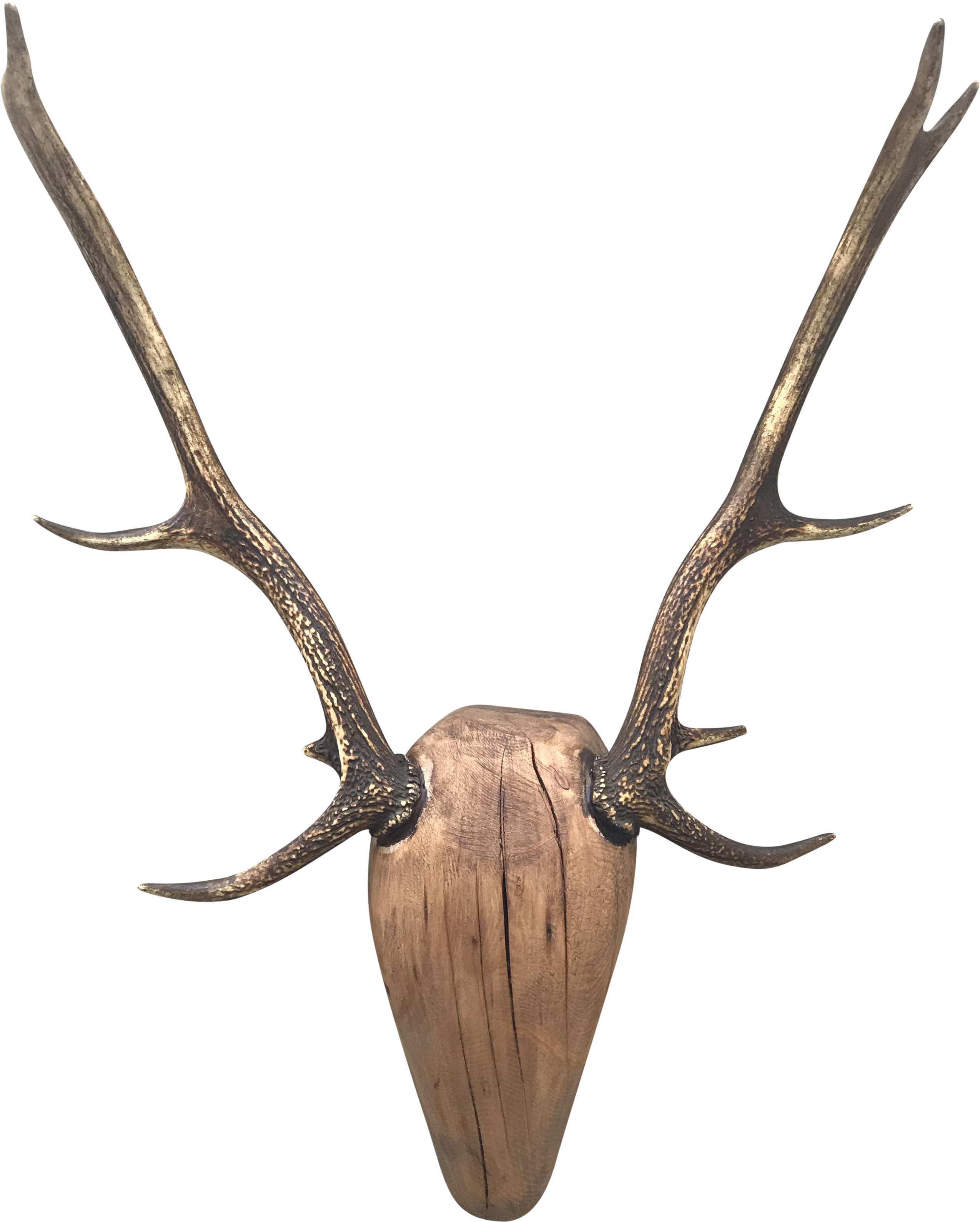 2549 X 3179 1 0 Clipart (2549x3179), Png Download